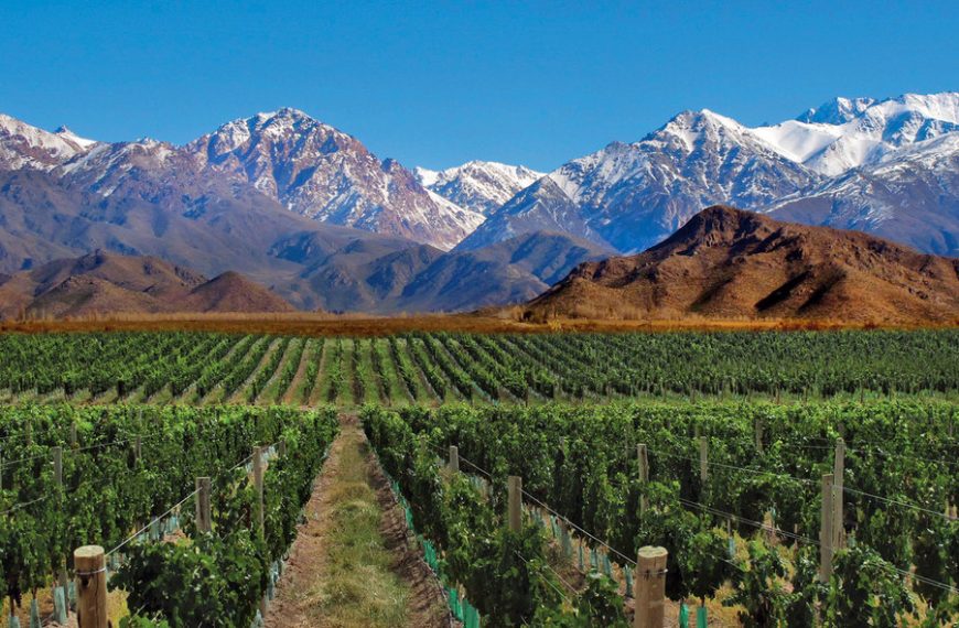 Il sacrificio del vino italiano. Squilibri competitivi e omologazione con l’Accordo UE-Mercosur