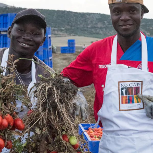 Chi prende il valore del cibo? Agricoltori italiani stretti tra latifondi, grande distribuzione e concorrenza globale
