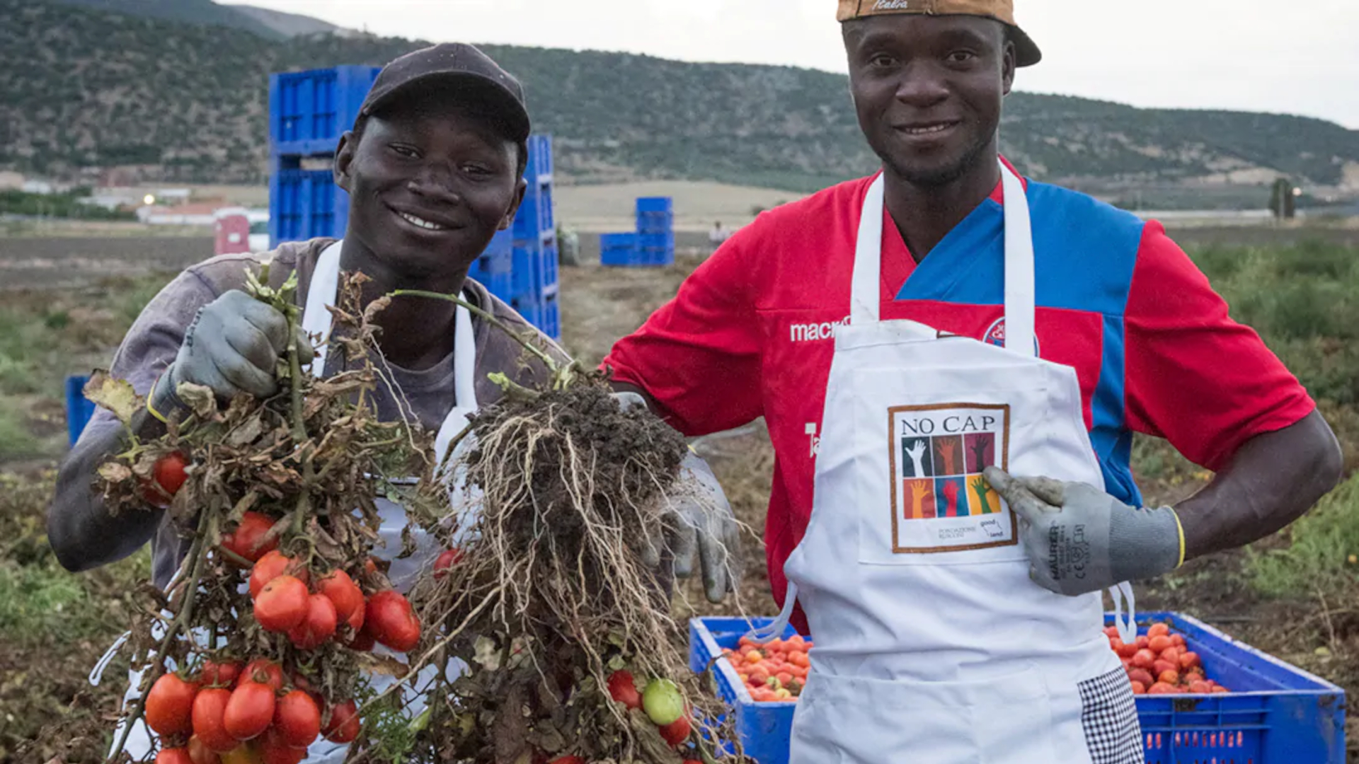 Chi prende il valore del cibo? Agricoltori&hellip;