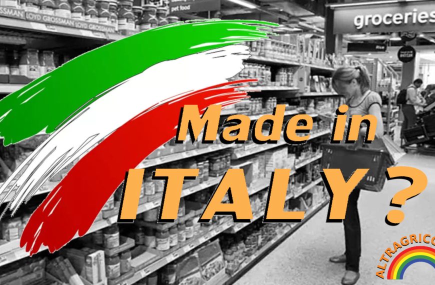 Made in Italy: chi ha deciso che vale più il commercio della terra ? Le 6 domande che nessuno vuole fare