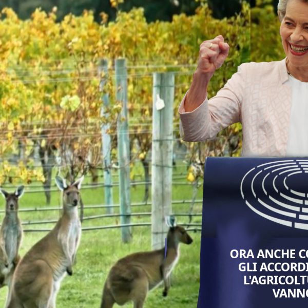 Via Campesina: l’accordo commerciale UE-Australia mette a repentaglio la sovranità alimentare