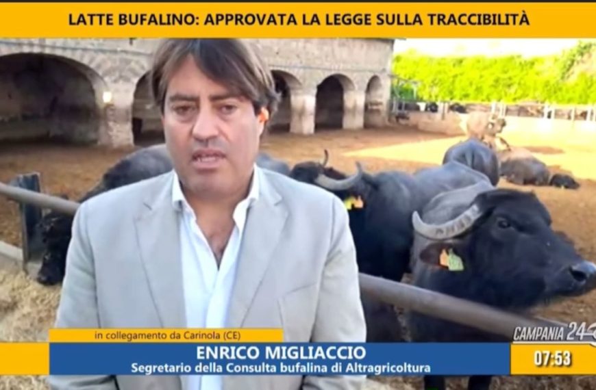 Tracciabilità del latte di bufala: la riforma è legge. Una vittoria del sindacato e degli allevatori