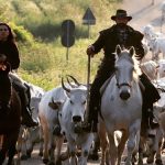 Federazione Allevatori e Pastori di Altragricoltura testata-sezione-pastori