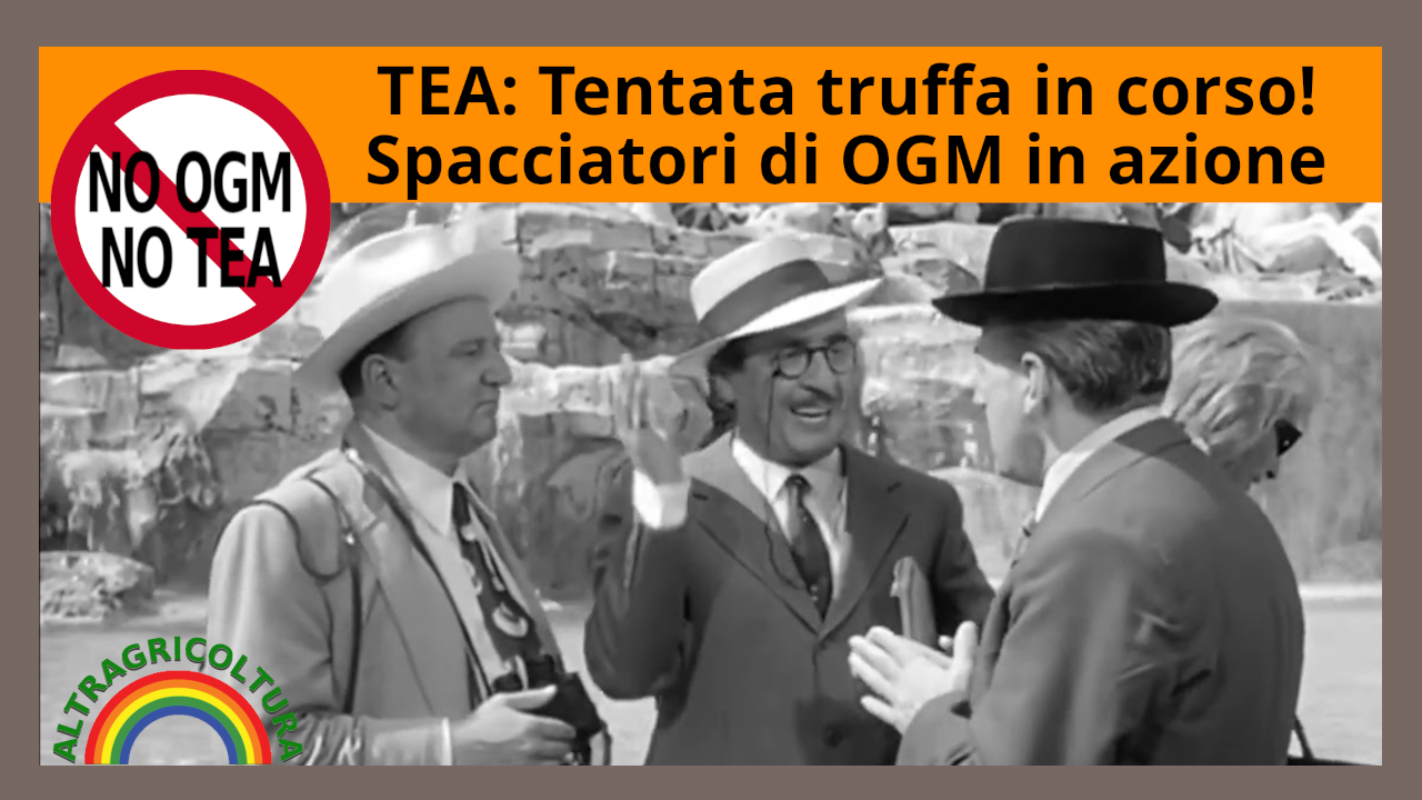 Contro le TEA, senza se e&hellip;