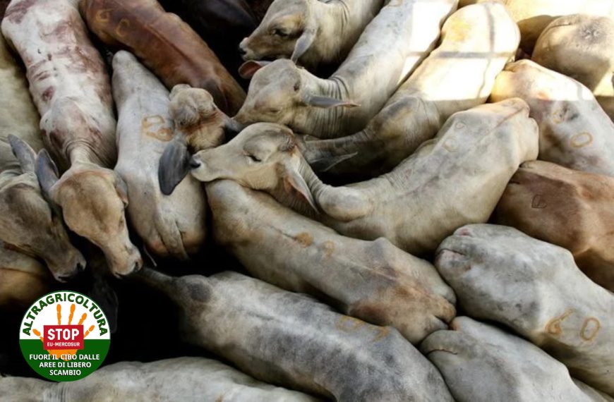 Avevamo ragione: Commissione di esperti dell’UE blocca importazione carne dal Brasile. Ora fermare l’accordo