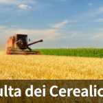 Consulta dei Cerealicoltori testata_consulta-cerealicoltori-mietitura