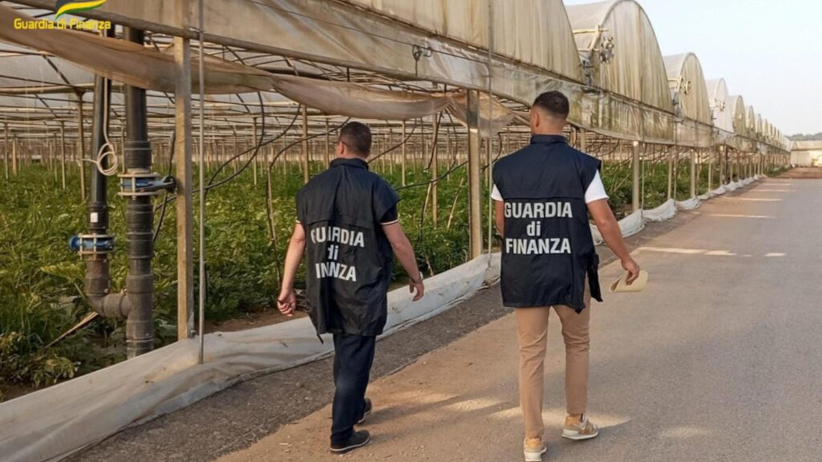 Sei anni dopo. I caporali si sconfiggono con le riforme non criminalizzando gli agricoltori