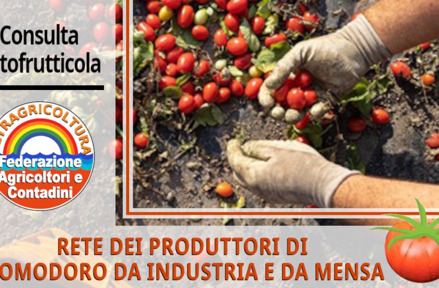 Nasce la Rete dei Produttori di Pomodoro mentre il comparto si disarticola