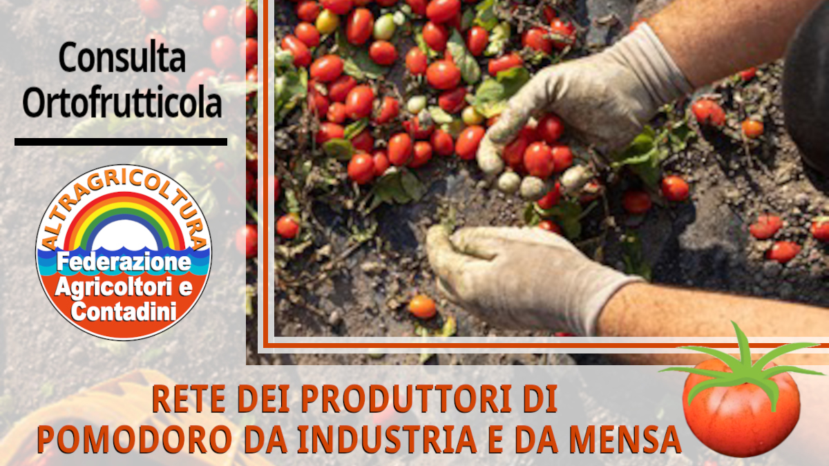 Nasce la Rete dei Produttori di Pomodoro&hellip;