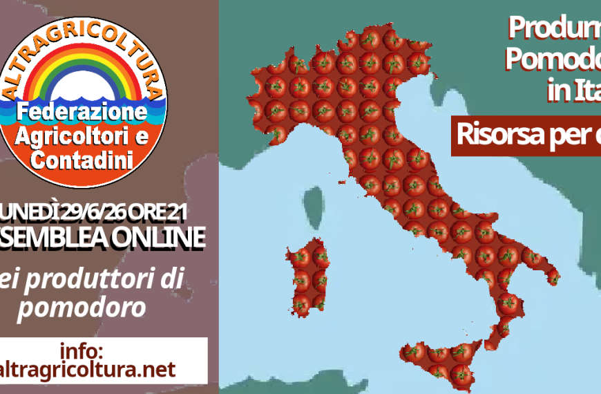 La Federazione degli Agricoltori e dei Contadini convoca incontro con i produttori di pomodoro