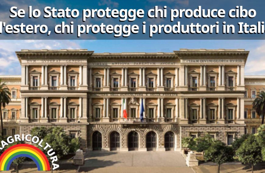 Se lo Stato protegge chi produce oltre confine, chi protegge chi produce in Italia?