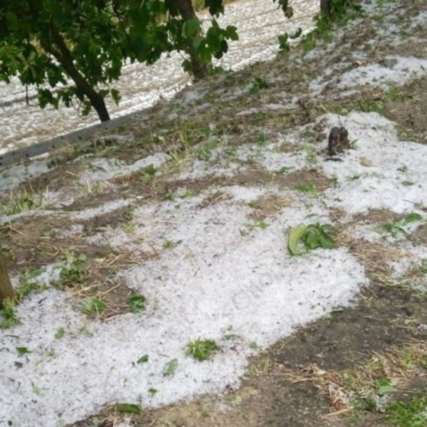 Irpinia devastata dalla grandine. Stagione agraria persa. Intervenga la Regione