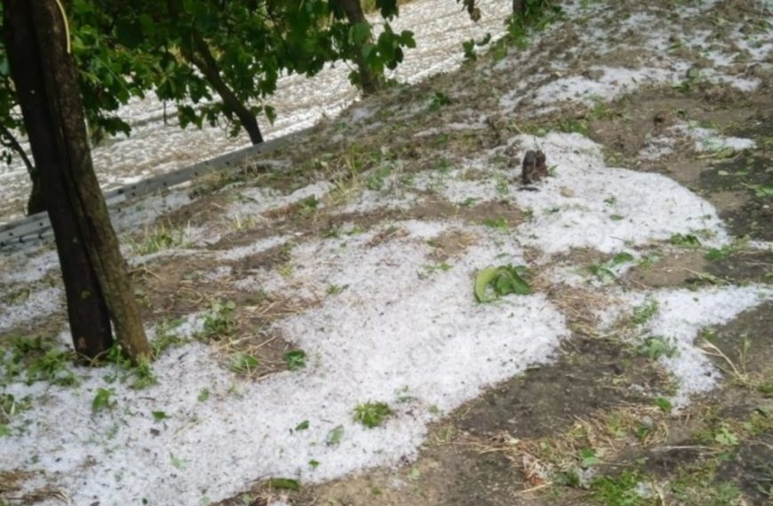 Irpinia devastata dalla grandine. Stagione agraria persa. Intervenga la Regione
