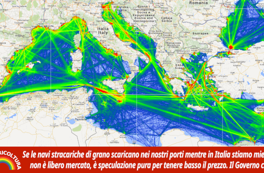 Se le navi scaricano grano estero mentre nelle nostre campagne si miete, non è libero mercato. É dumping