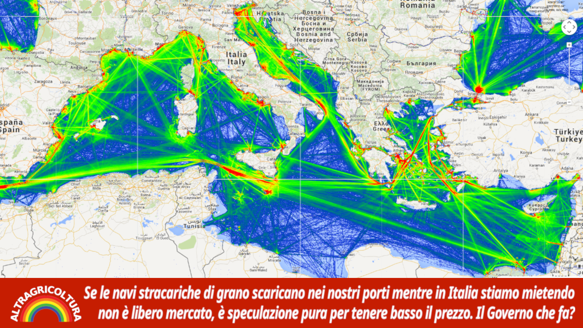 Se le navi scaricano grano estero mentre&hellip;