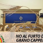 TESTATA-ARTICOLO-CONFERENZA-STAMPA-GRANO-CAPPELLI