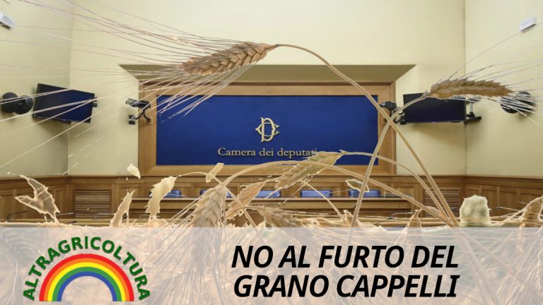 Altragricoltura alla Camera dei Deputati per denunciare la speculazione sul grano cappelli