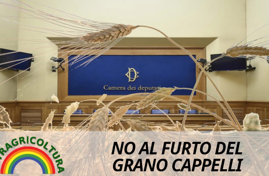 Altragricoltura alla Camera dei Deputati per denunciare la speculazione sul grano cappelli