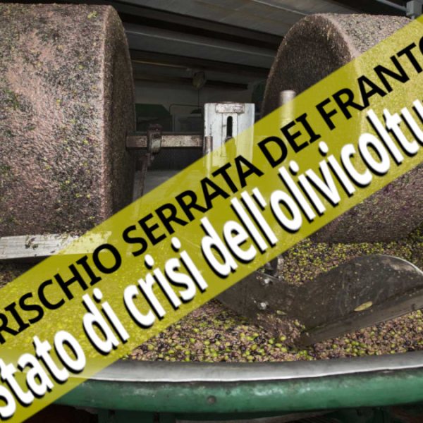 Mentre siamo invasi da olio bio sfuso, i frantoiani minacciano la serrata. Stato di crisi ora!