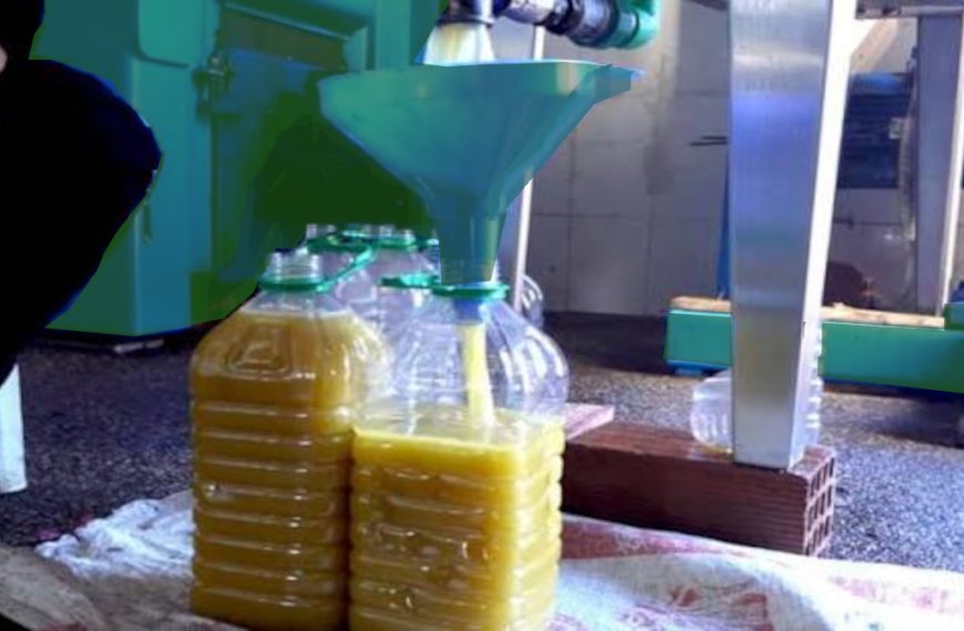 Importazioni e dazi su olio tunisino. La differenza tra mercato interno e perfezionamento attivo