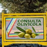 immagine-articolo