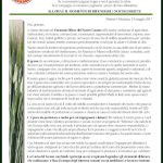 la-carta-del-grano_pag-1_510x