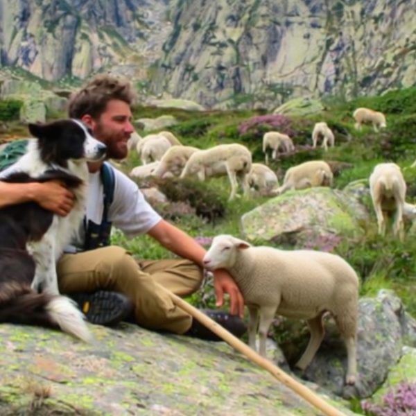 Il futuro dell’allevamento in Europa nelle proposte di Via Campesina Europa. discutiamone