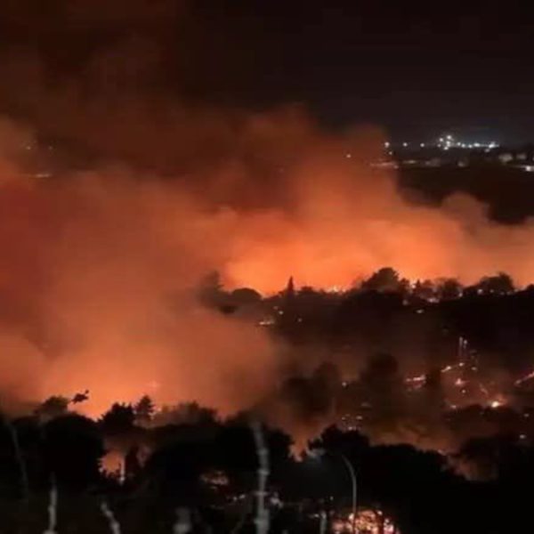 Sifus-Sicilia Forestali. Gli incendi infernali dimostrano che la stabilizzazione non può aspettare