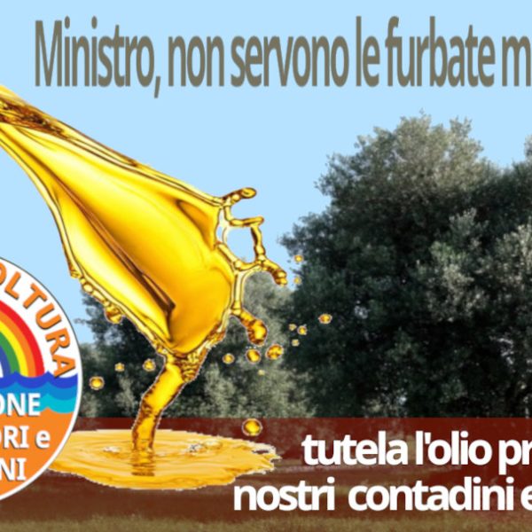 La nuova circolare del ministero sull’olio penalizza agricoltori e frantoiani e non risolve i problemi
