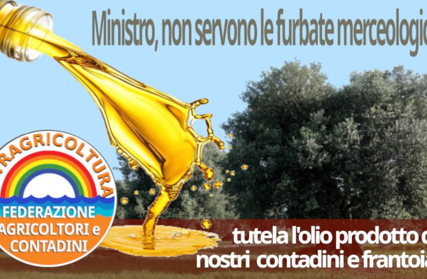 La nuova circolare del ministero sull’olio penalizza agricoltori e frantoiani e non risolve i problemi