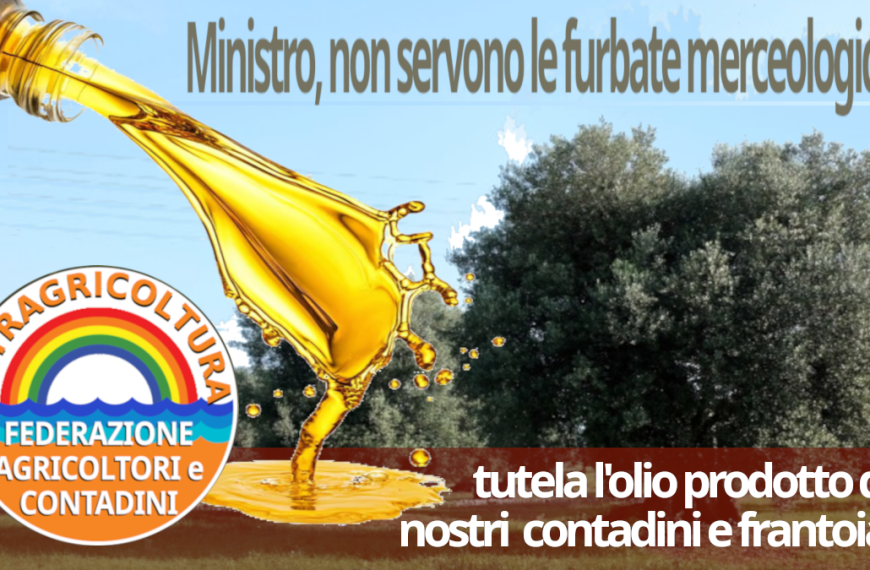 La nuova circolare del ministero sull’olio penalizza agricoltori e frantoiani e non risolve i problemi