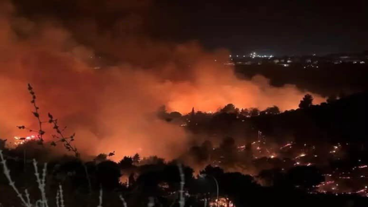 Sifus-Sicilia Forestali. Gli incendi infernali dimostrano&hellip;