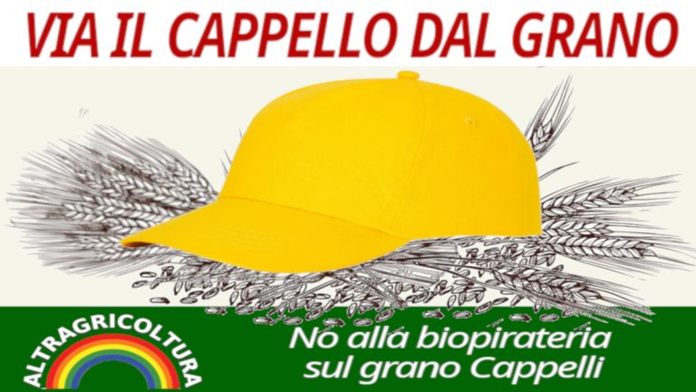 Trust del Grano Cappeli. Pronti a incontrare il Ministro Martina. Via alle iniziative