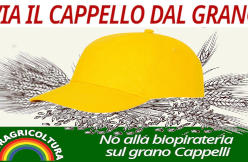 Trust del Grano Cappeli. Pronti a incontrare il Ministro Martina. Via alle iniziative