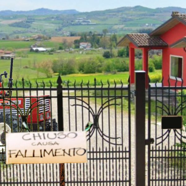Quello che resta dell’agricoltura italiana e la politica non vede: meno campi e stalle, più importazioni.